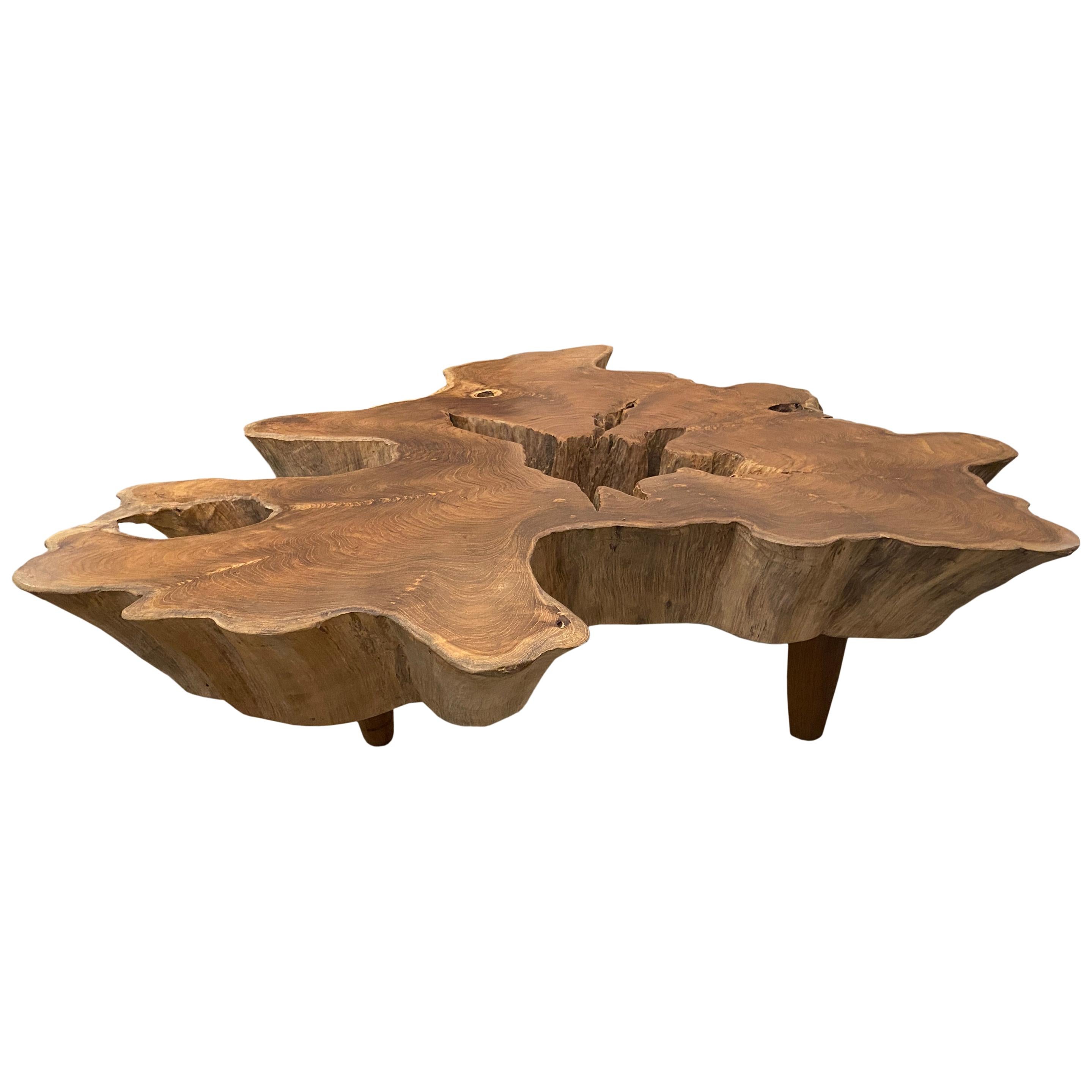 Andrianna Shamaris Amorphous Midcentury Style Teak Wood Coffee Table