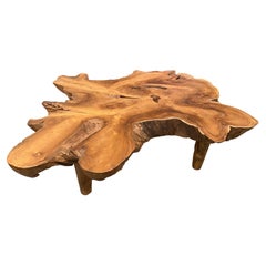Andrianna Shamaris Amorphous Mid Century Style Teak Wood Coffee Table