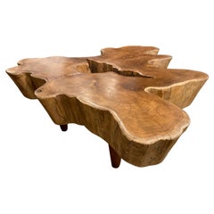 Andrianna Shamaris Amorphous Midcentury Style Teak Wood Coffee Table