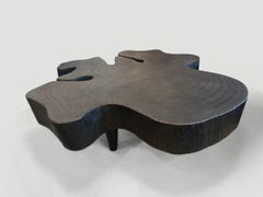 Andrianna Shamaris Charred Coffee Table, Reclaimed Wood, Modern Design
