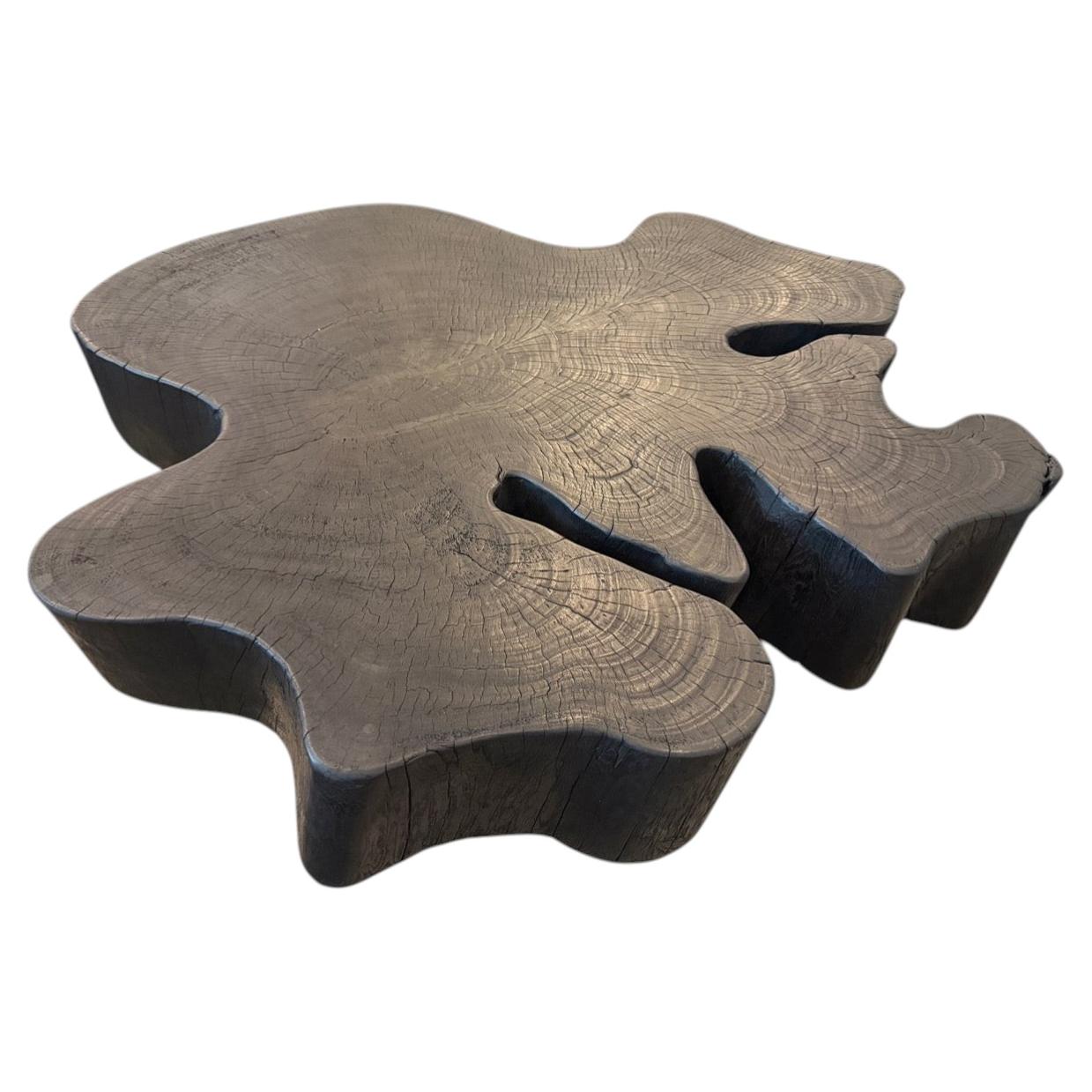 Andrianna Shamaris Charred Coffee Table, Reclaimed Wood, Modern Design