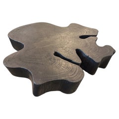 Andrianna Shamaris Charred Coffee Table, Reclaimed Wood, Modern Design
