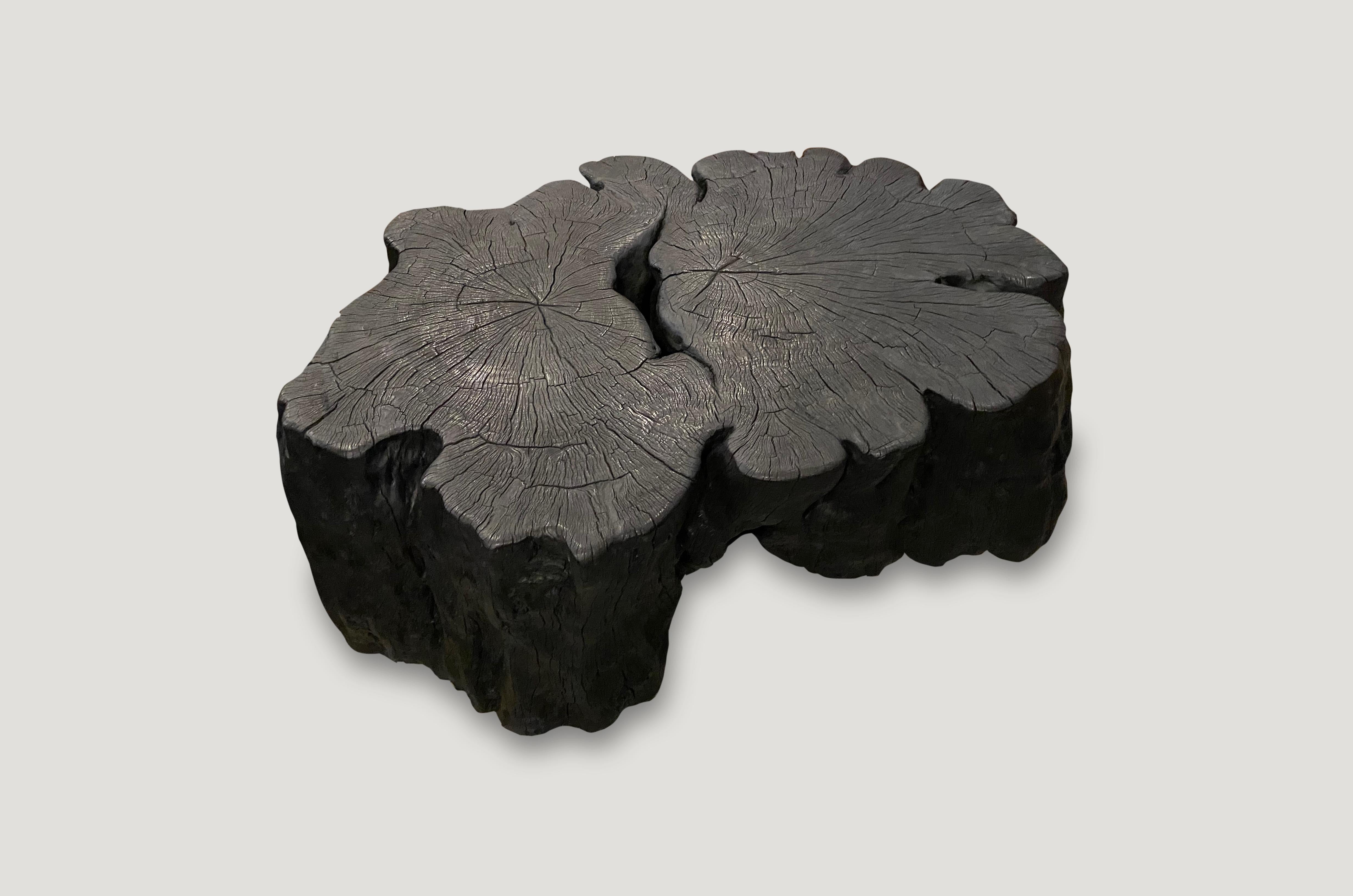 Andrianna Shamaris Amorphous Reclaimed Lychee Wood Coffee Table In Excellent Condition In New York, NY