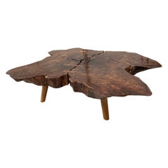 Andrianna Shamaris Amorphous Rosewood Coffee Table