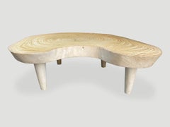 Andrianna Shamaris Amorphous Single Slab Mid-Century Modern Coffee Table