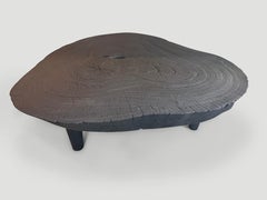Andrianna Shamaris Charred Finish Coffee Table, Single Slab, Organic Modern
