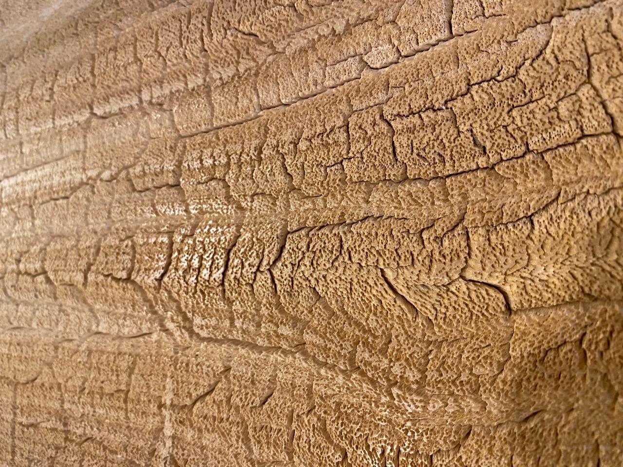 Bois Table basse Andrianna Shamaris Amorphous à simple dalle, mi-siècle moderne en vente