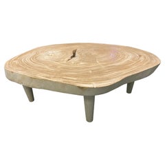 Andrianna Shamaris Amorphous Single Slab Mid-Century Modern Coffee Table