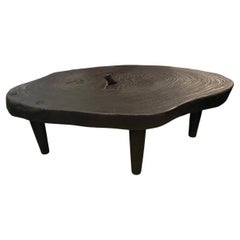 Andrianna Shamaris Amorphous Single Slab Mid-Century Modern Coffee Table