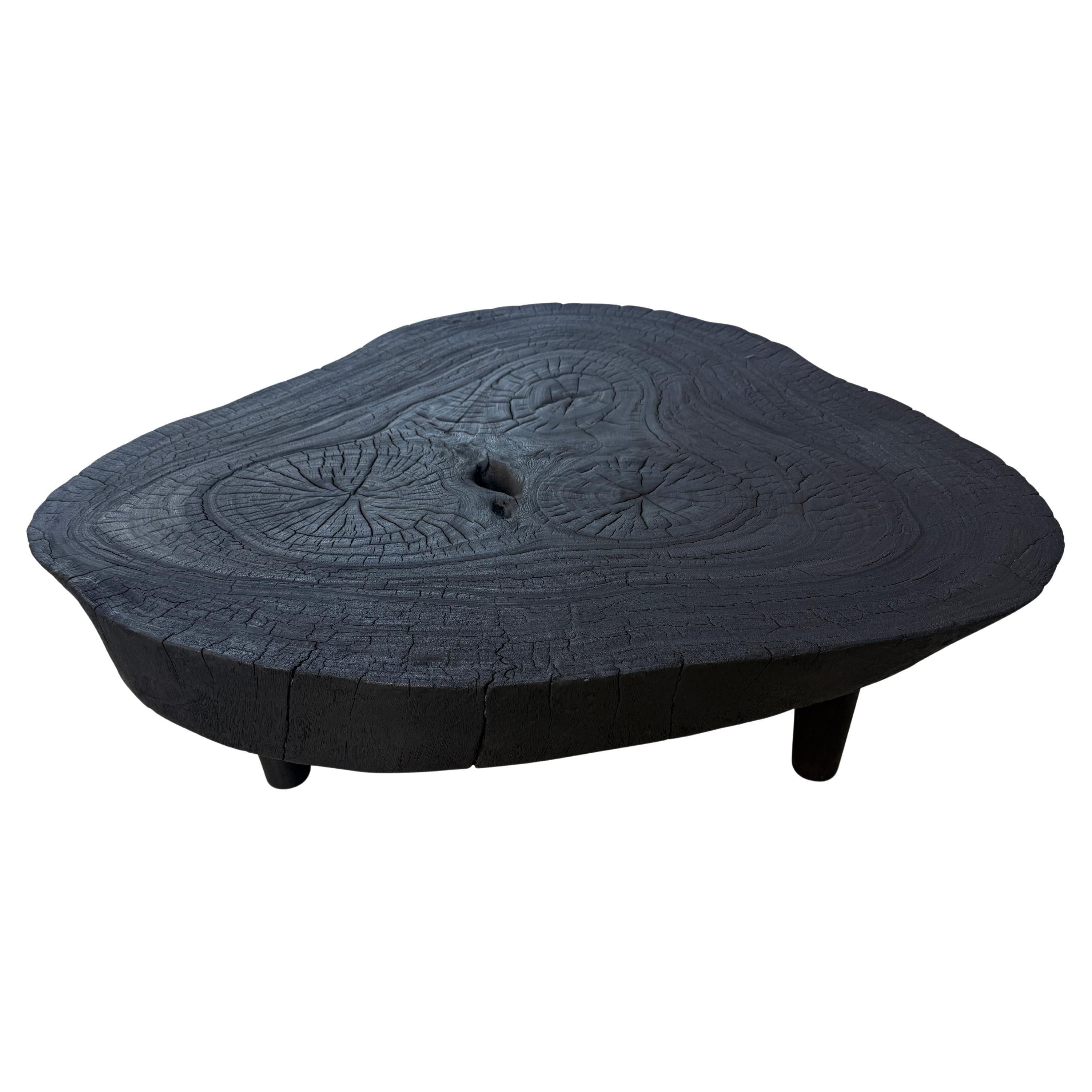 Andrianna Shamaris Amorphous table basse moderne du milieu du siècle dernier
