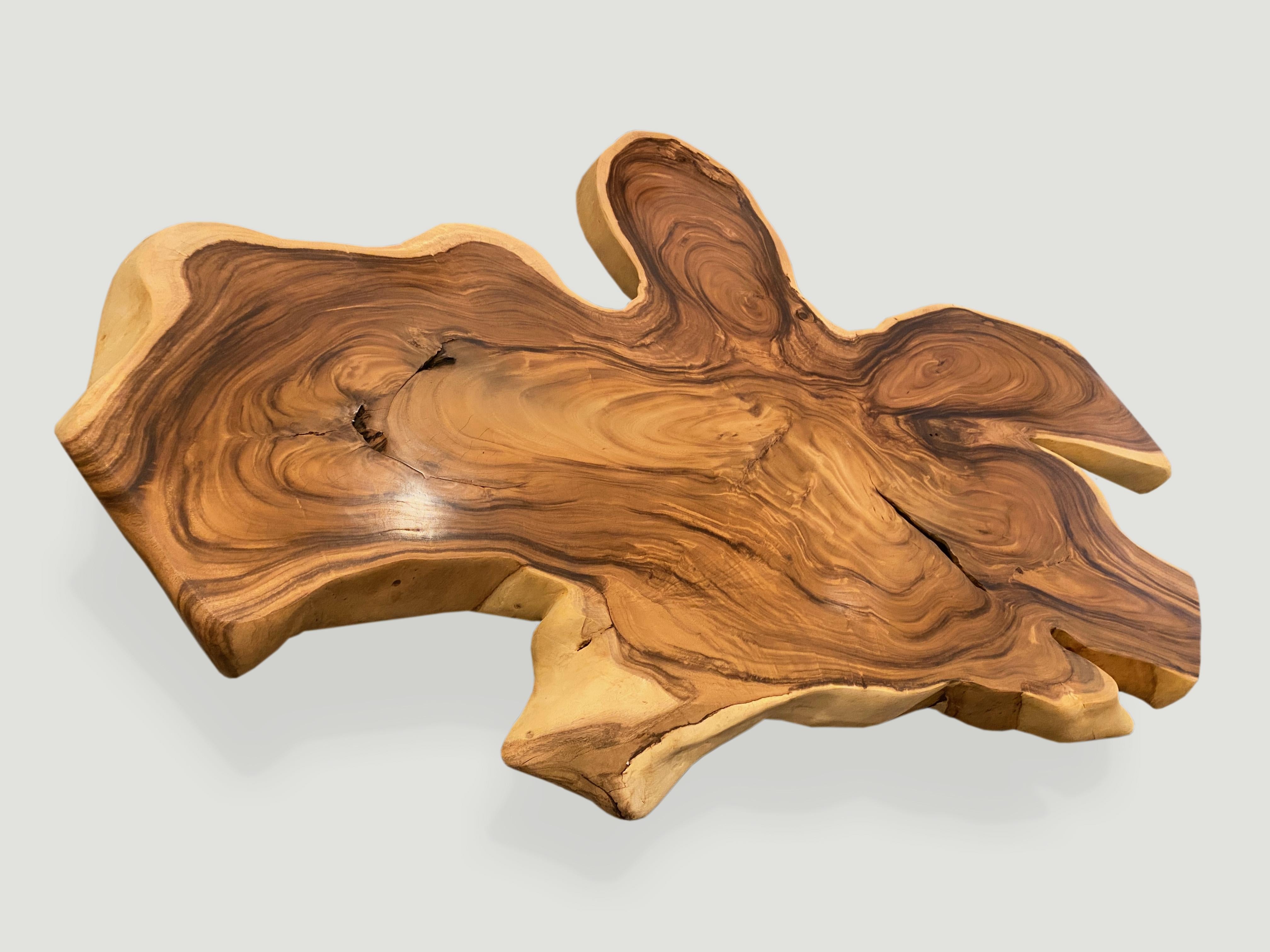 Andrianna Shamaris Amorphous Suar Wood Coffee Table In Excellent Condition In New York, NY