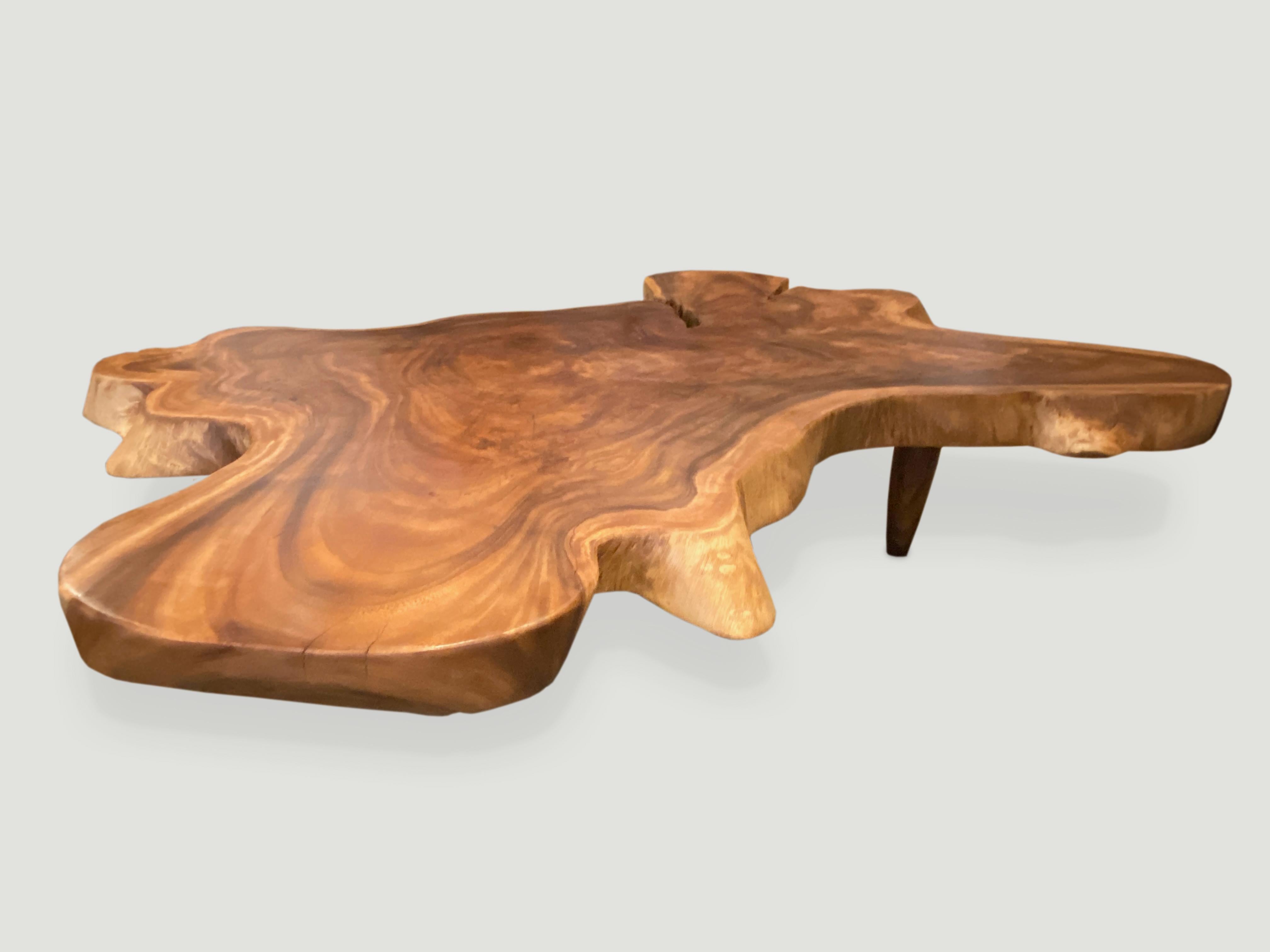 Contemporary Andrianna Shamaris Amorphous Suar Wood Coffee Table