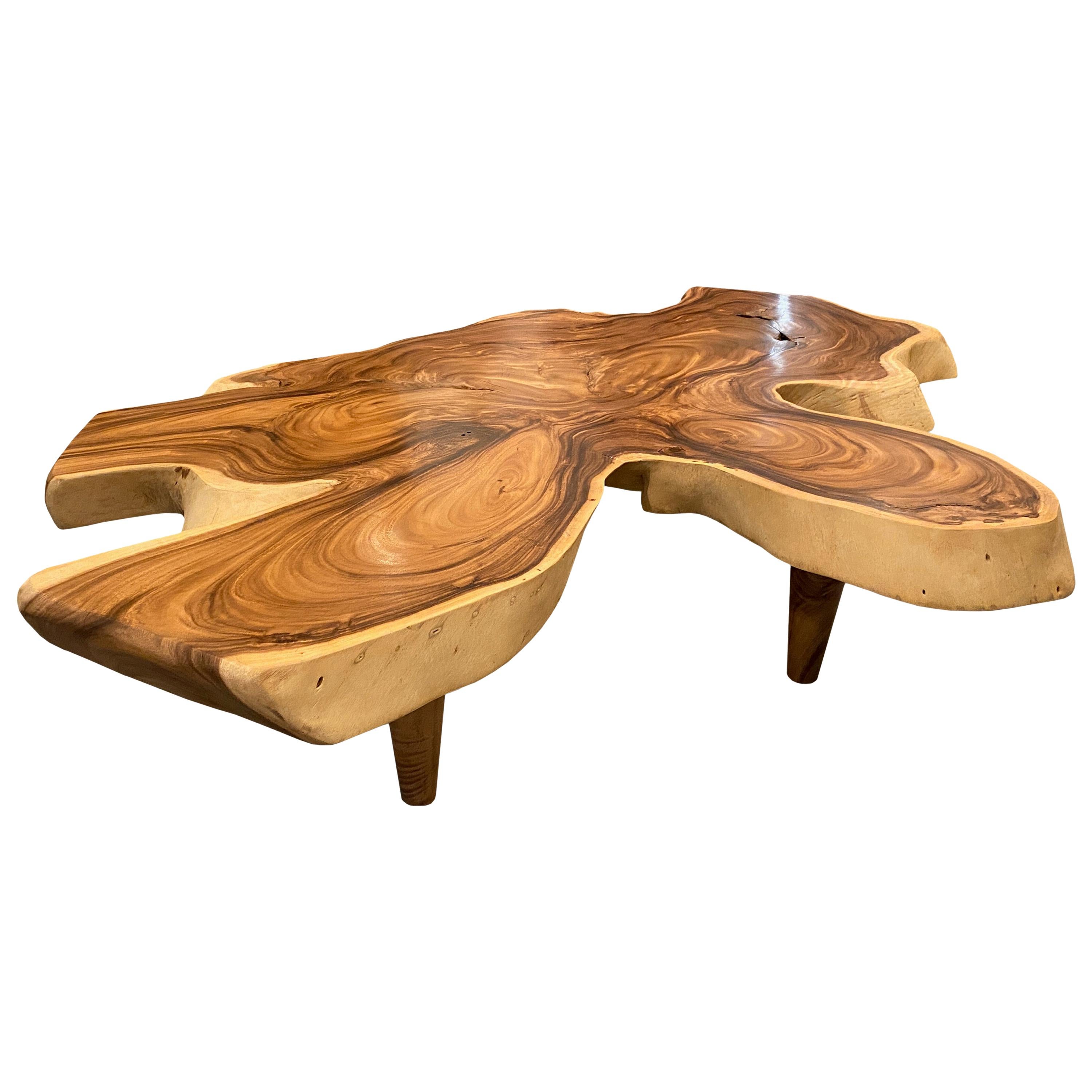 Andrianna Shamaris Amorphous Suar Wood Coffee Table