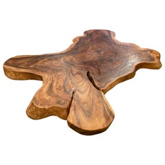 Table basse Amorphous Suar Wood Andrianna Shamaris