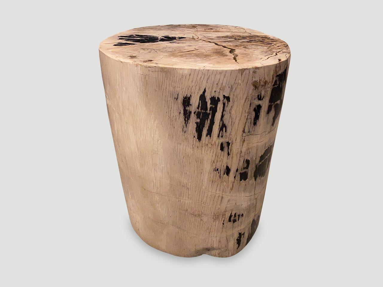 Impressive beautiful tones and markings on this ancient high quality petrified wood side table. It’s fascinating how Mother Nature produces these exquisite 40 million year old petrified teak logs with such contrasting colors and natural patterns