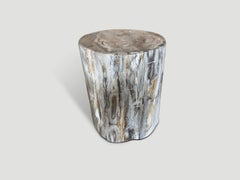 Andrianna Shamaris Petrified Wood Side Table, Modern Design, 18"