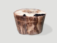 Andrianna Shamaris Ancient High Quality Petrified Wood Side Table