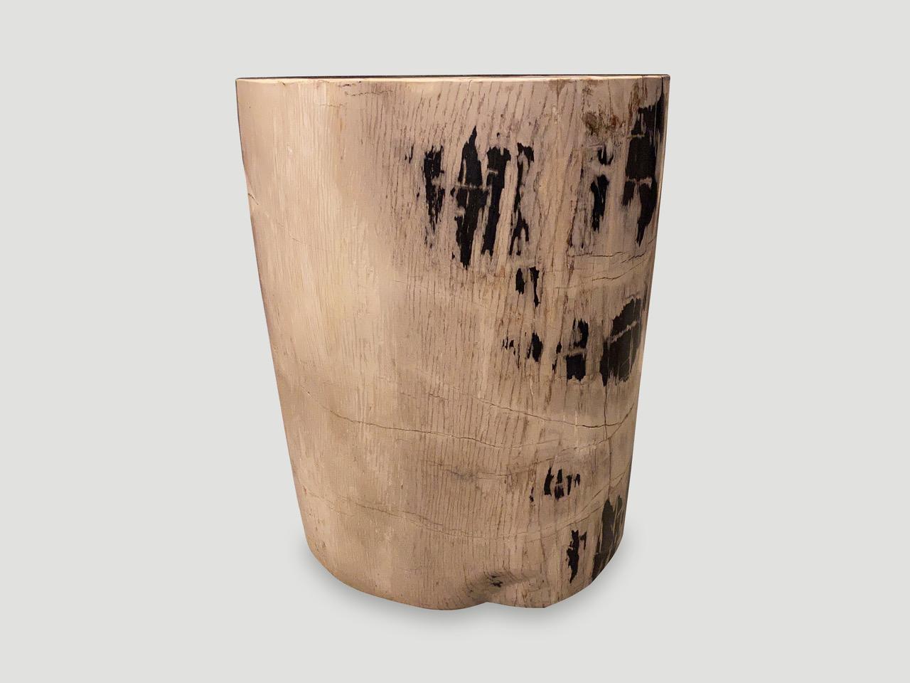 Organic Modern Andrianna Shamaris Ancient High Quality Petrified Wood Side Table For Sale