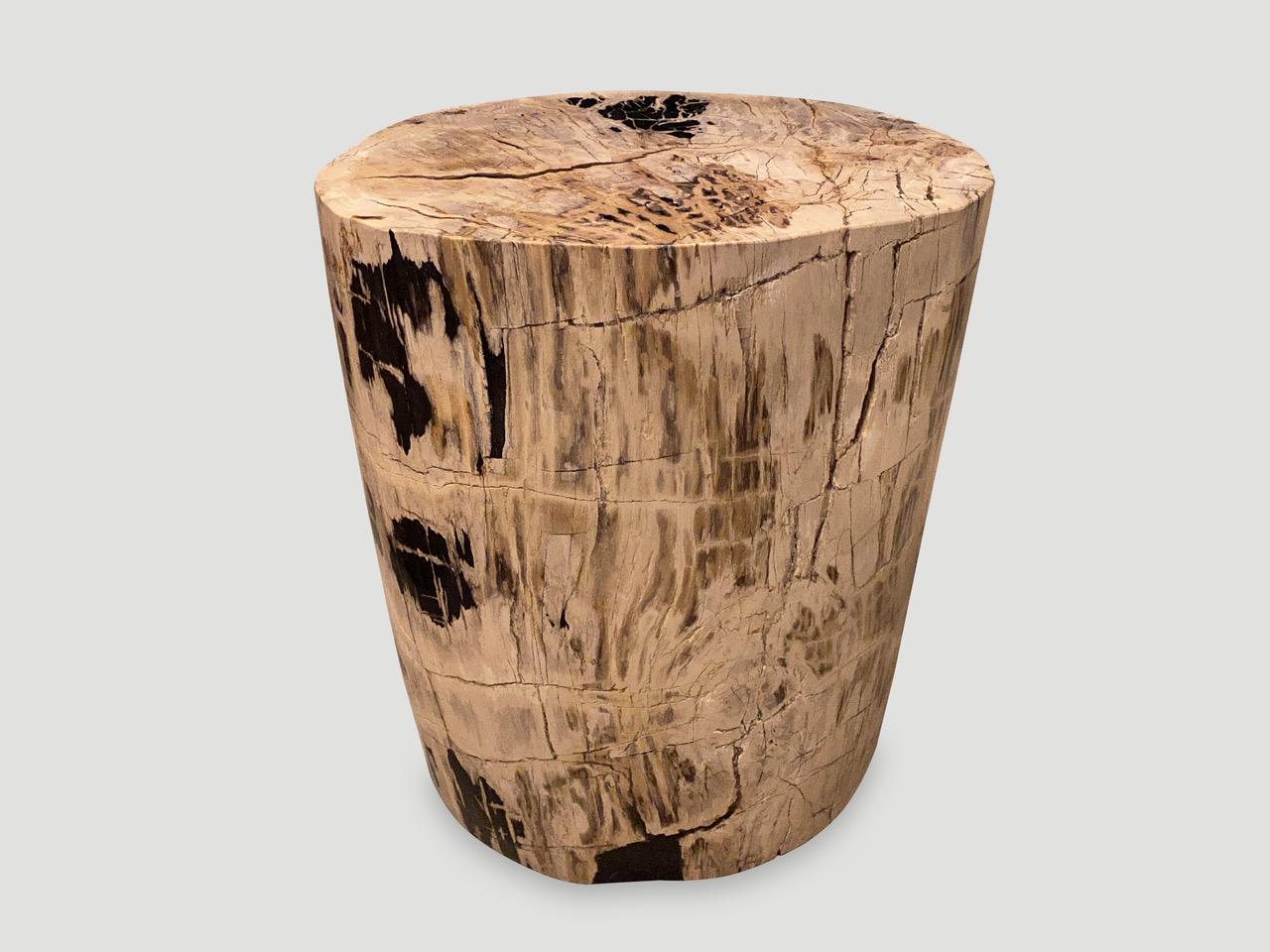 Andrianna Shamaris Ancient High Quality Petrified Wood Side Table In Excellent Condition For Sale In New York, NY