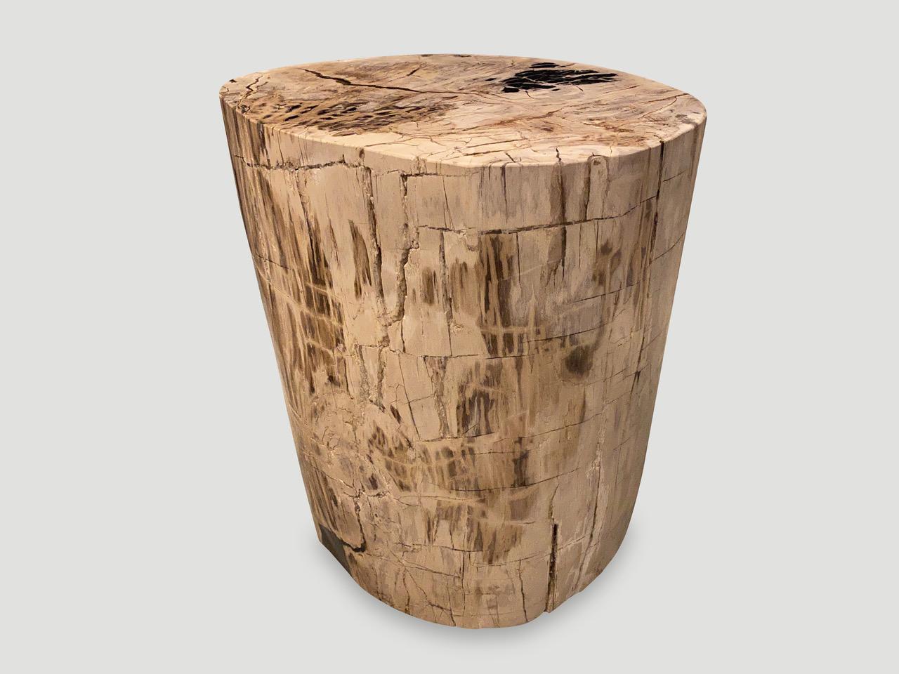 Andrianna Shamaris Ancient High Quality Petrified Wood Side Table For Sale 1