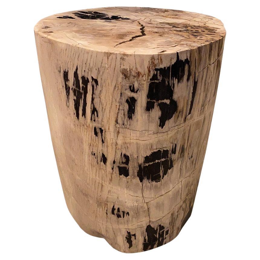 Andrianna Shamaris Ancient High Quality Petrified Wood Side Table For Sale