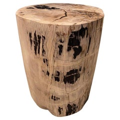 Andrianna Shamaris Ancient High Quality Petrified Wood Side Table