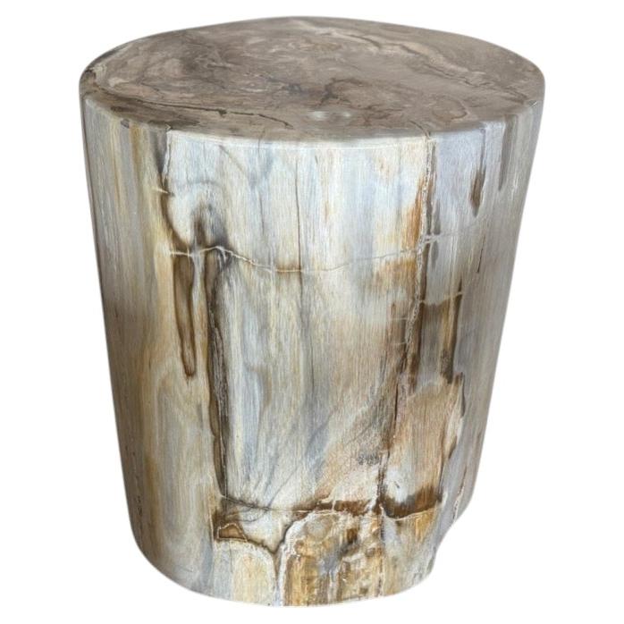 Andrianna Shamaris Petrified Wood Side Table, Modern Design, 18"
