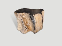 Andrianna Shamaris Ancient Minimalist Petrified Wood Side Table