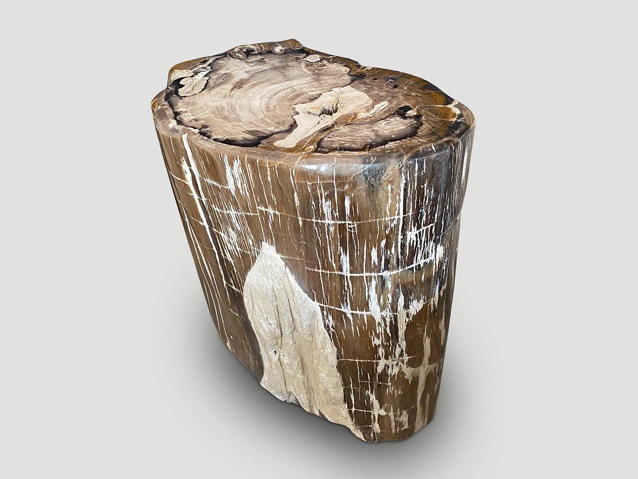 Beautiful tones and textures in this ancient petrified wood side table. Rare. It’s fascinating how Mother Nature produces these exquisite 40 million year old petrified teak logs with such contrasting colors and natural patterns throughout. Modern