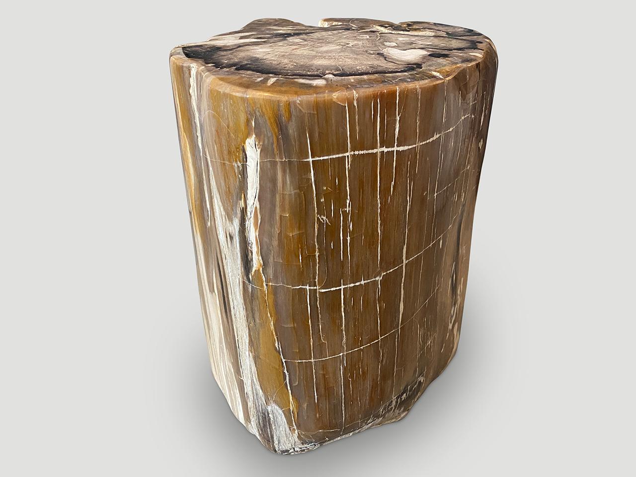 Beautiful tones and textures in this ancient petrified wood side table. It’s fascinating how Mother Nature produces these exquisite 40 million year old petrified teak logs with such contrasting colors and natural patterns throughout. Modern yet with