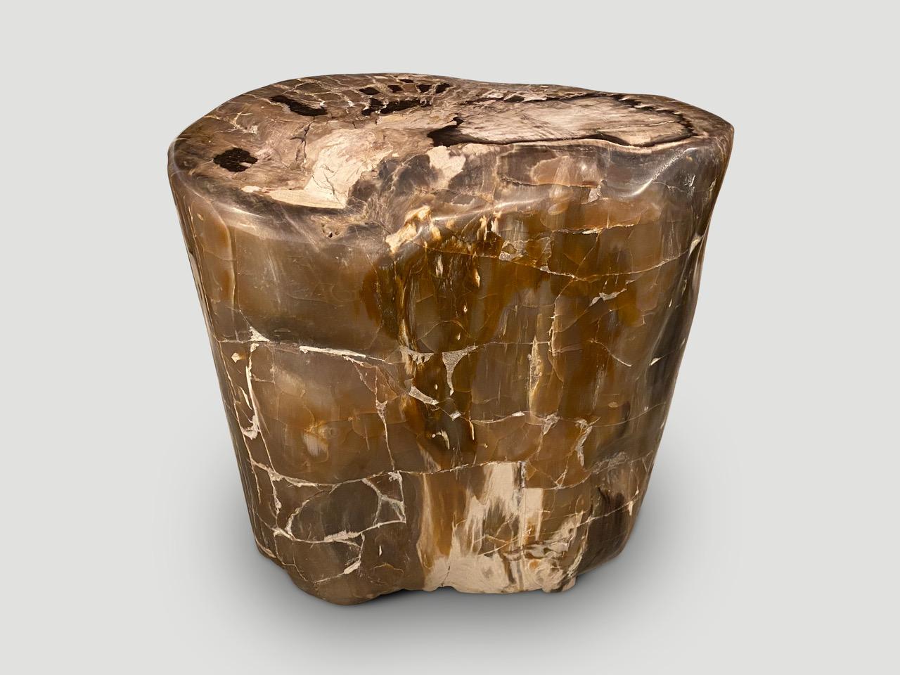 Beautiful contrasting tones and textures on this ancient petrified wood side table. It’s fascinating how Mother Nature produces these exquisite 40 million year old petrified teak logs with such contrasting colors and natural patterns throughout.