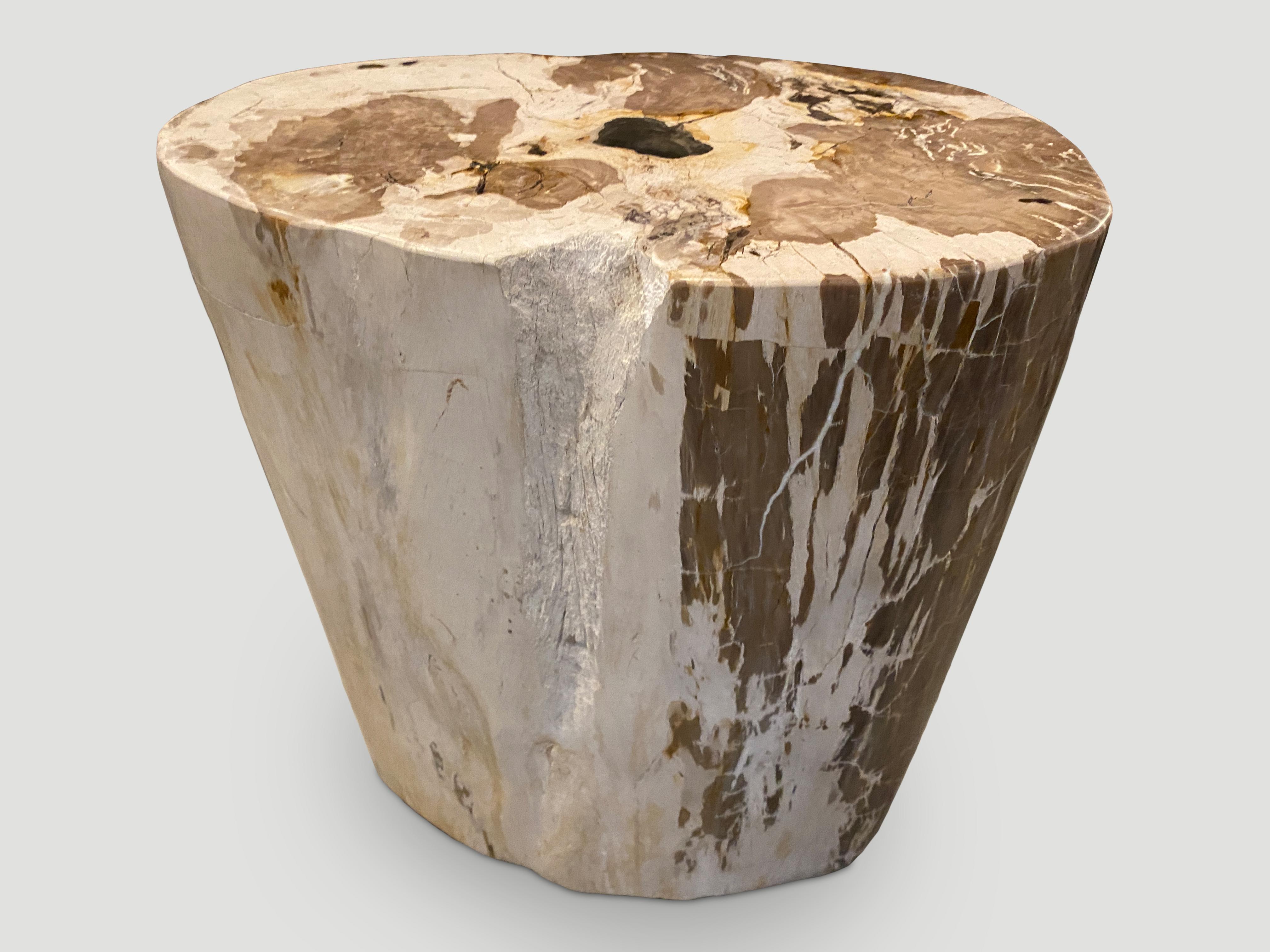 Cette table d'appoint en bois pétrifié est impressionnante par la beauté de ses contrastes de tons et de textures. Il est fascinant de voir comment Mère Nature produit ces exquises billes de teck pétrifié vieilles de 40 millions d'années, aux