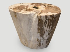 Andrianna Shamaris Ancient Petrified Wood Side Table