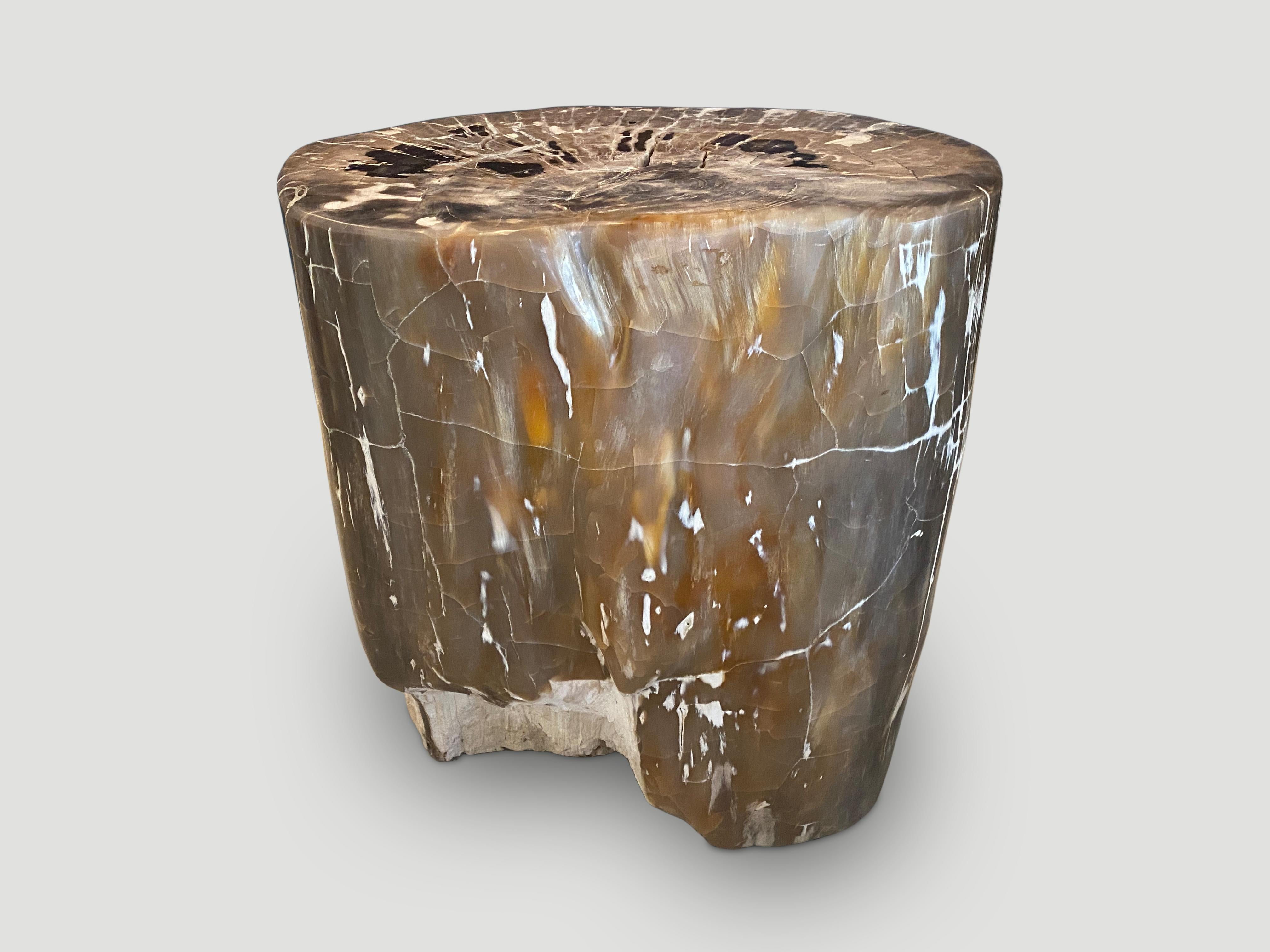 Impressive beautiful contrasting tones and textures in this ancient petrified wood side table. It’s fascinating how Mother Nature produces these exquisite 40 million year old petrified teak logs with such contrasting colors and natural patterns
