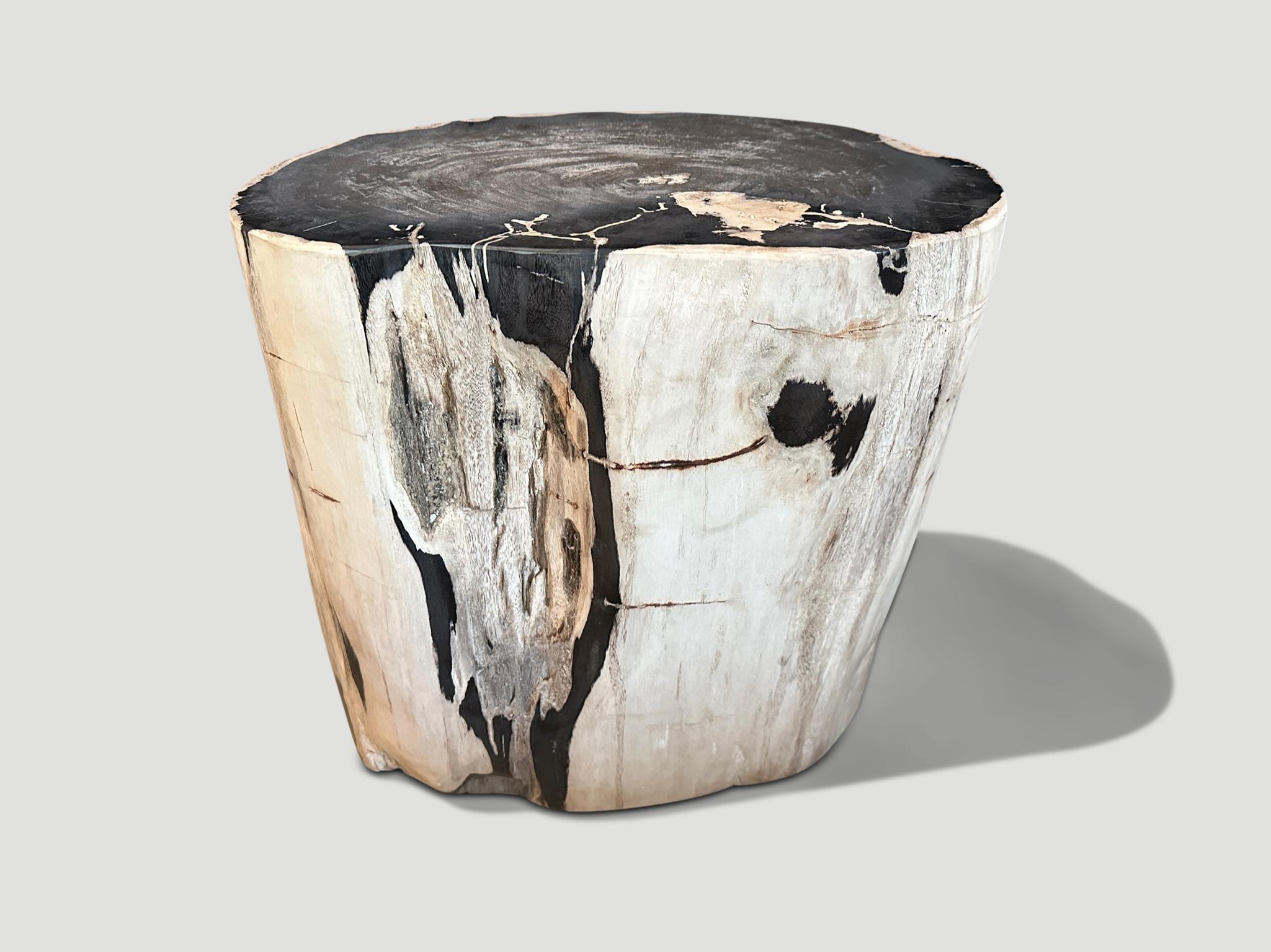 Impressive beautiful contrasting markings on this high quality ancient petrified wood side table. It’s fascinating how Mother Nature produces these stunning 40 million year old petrified teak logs with such contrasting colors and natural patterns