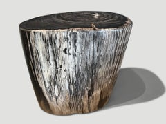 Andrianna Shamaris Ancient Petrified Wood Side Table