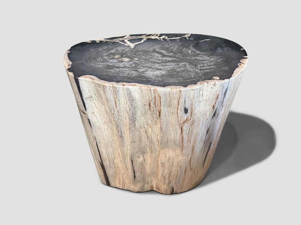 Impressive beautiful contrasting tones on this high quality super smooth petrified wood side table. It’s fascinating how Mother Nature produces these stunning 40 million year old petrified teak logs with such contrasting colors and natural patterns