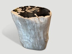 Andrianna Shamaris Ancient Petrified Wood Side Table