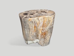 Andrianna Shamaris Petrified Wood Side Table, Modern Organic Design