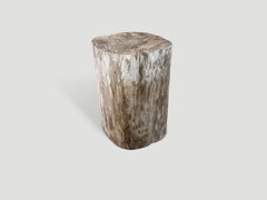 Andrianna Shamaris Ancient Petrified Wood Side Table