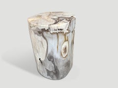 Andrianna Shamaris Ancient Petrified Wood Side Table