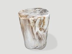 Andrianna Shamaris Ancient Petrified Wood Side Table