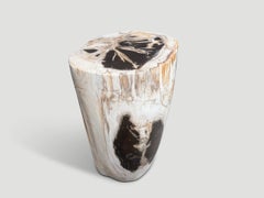 Andrianna Shamaris Ancient Petrified Wood Side Table