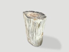 Andrianna Shamaris Ancient Petrified Wood Side Table