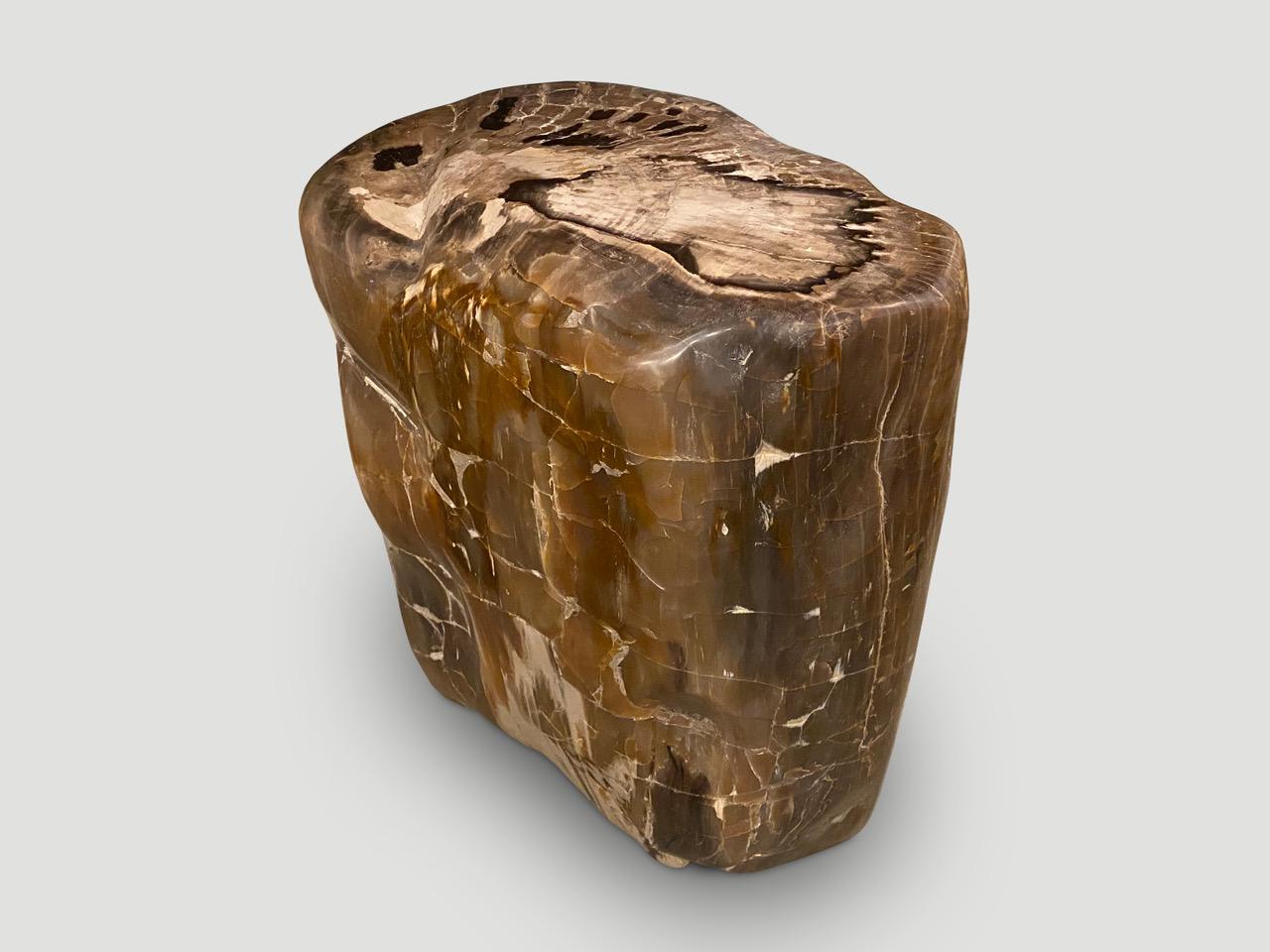 Organic Modern Andrianna Shamaris Ancient Petrified Wood Side Table For Sale