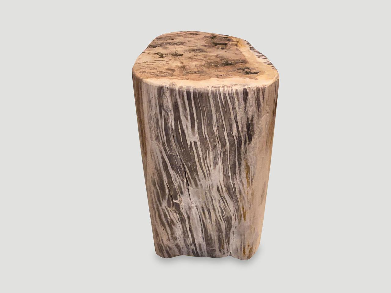 Organic Modern Andrianna Shamaris Ancient Petrified Wood Side Table For Sale