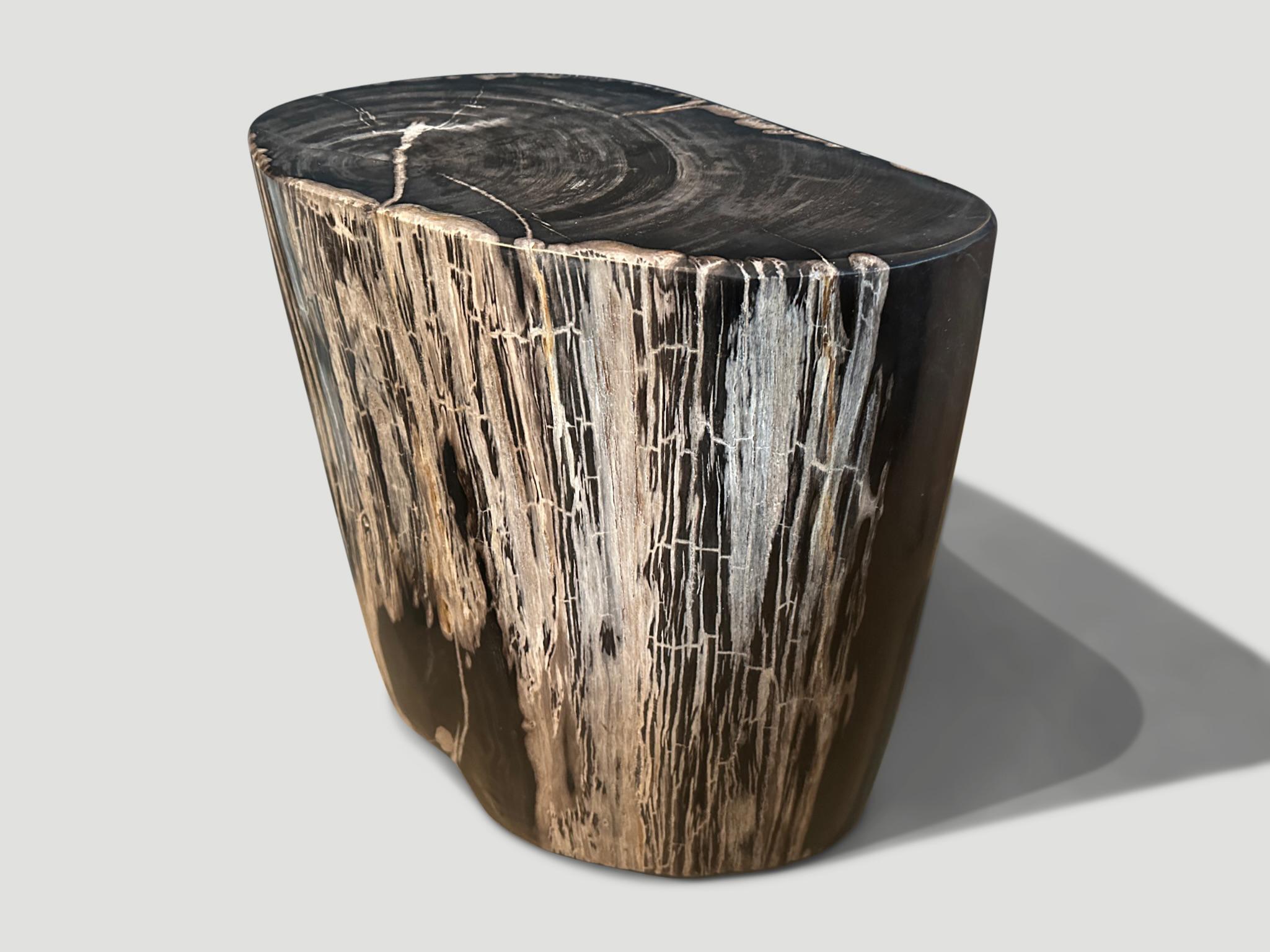 petrified log side table