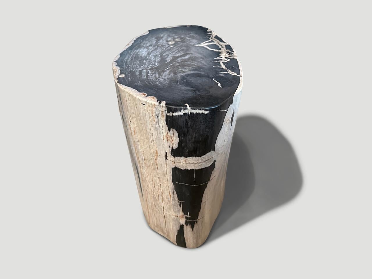 Organic Modern Andrianna Shamaris Ancient Petrified Wood Side Table  For Sale