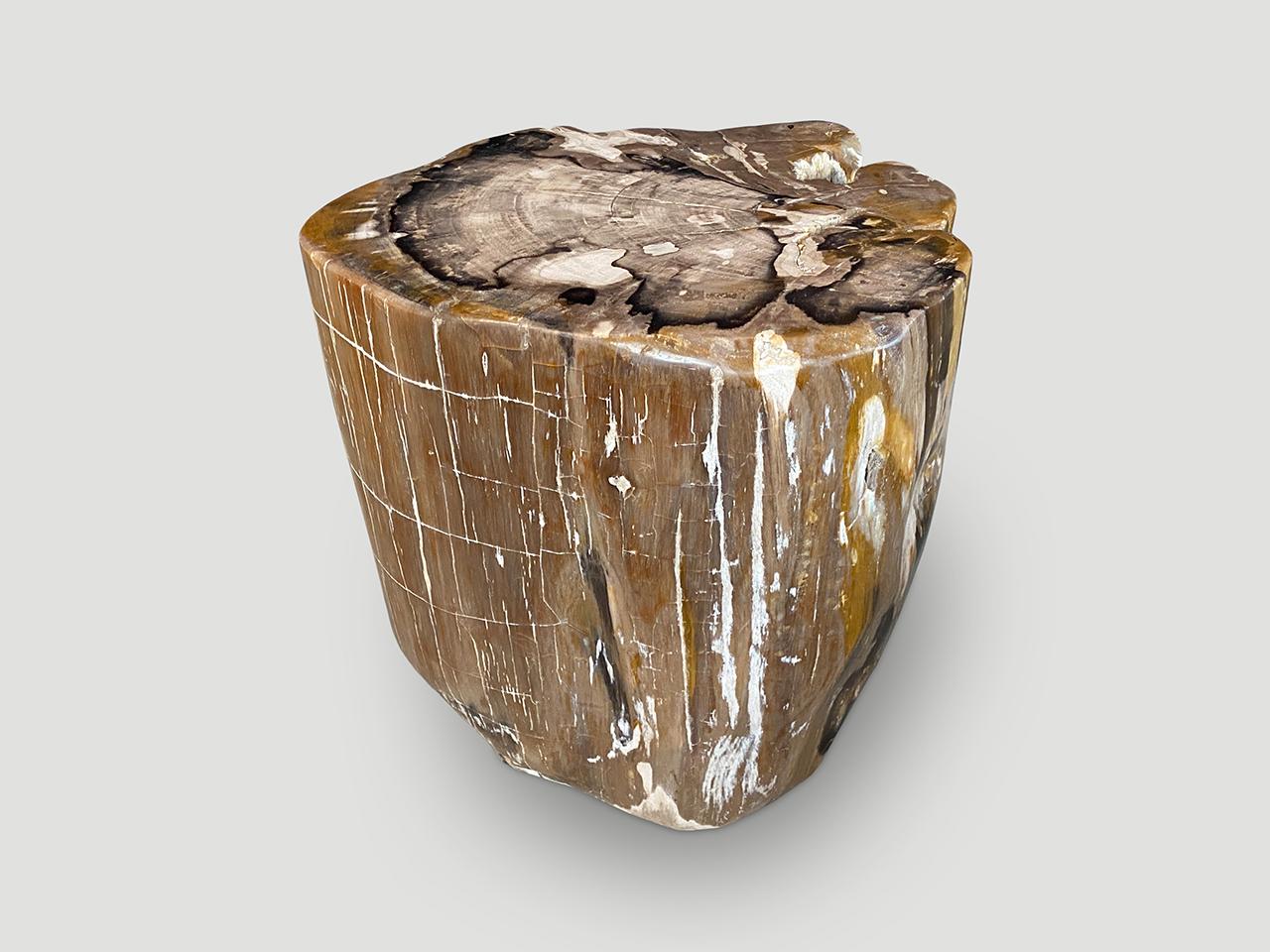 petrified wood accent table