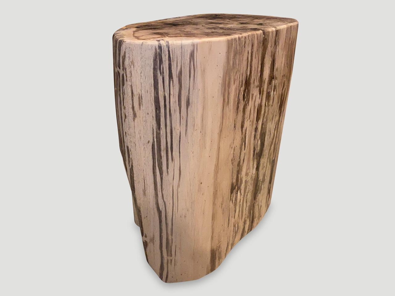Andrianna Shamaris Ancient Petrified Wood Side Table In Excellent Condition In New York, NY